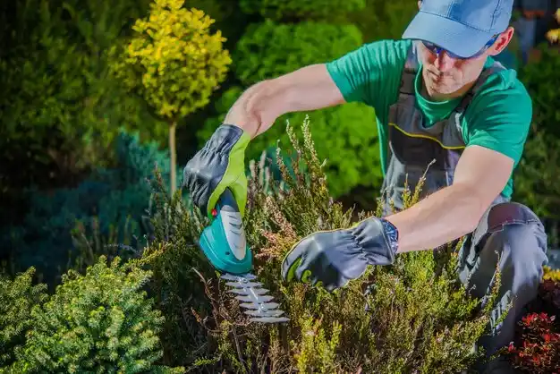 landscaping services Paintsville